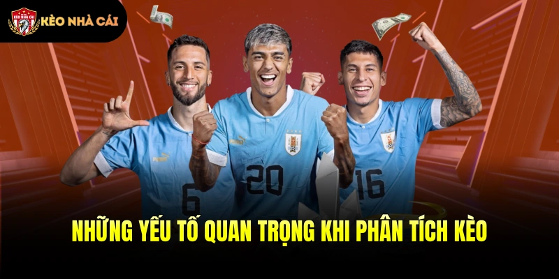 Những yếu tố quan trọng khi phân tích kèo